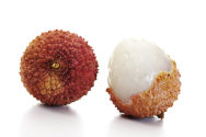 Litchi